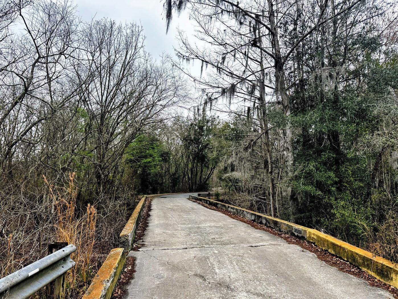 SUWANNEE RIVER SPRINGS SUBDIVISION - Land