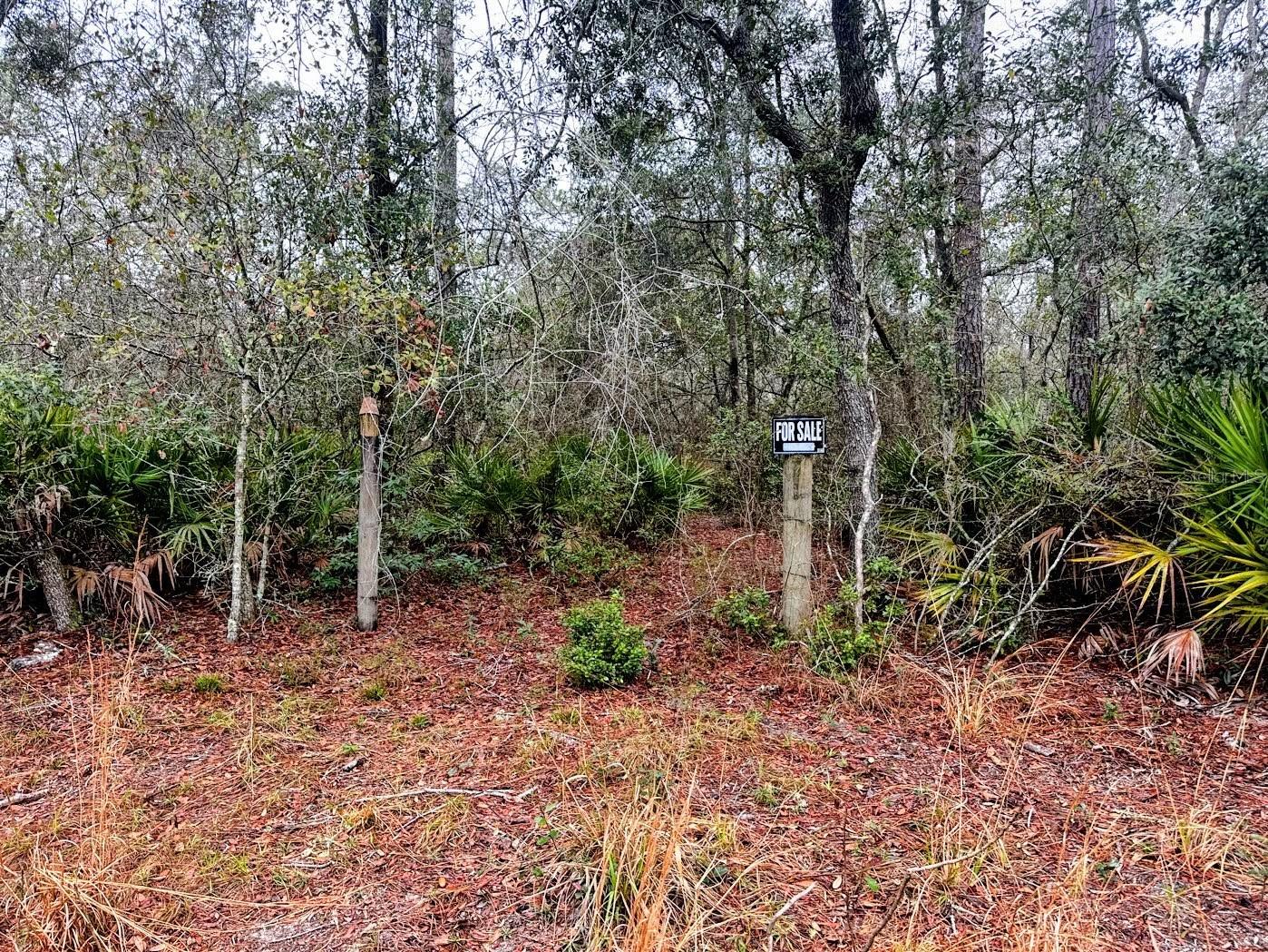 SUWANNEE RIVER SPRINGS SUBDIVISION - Land