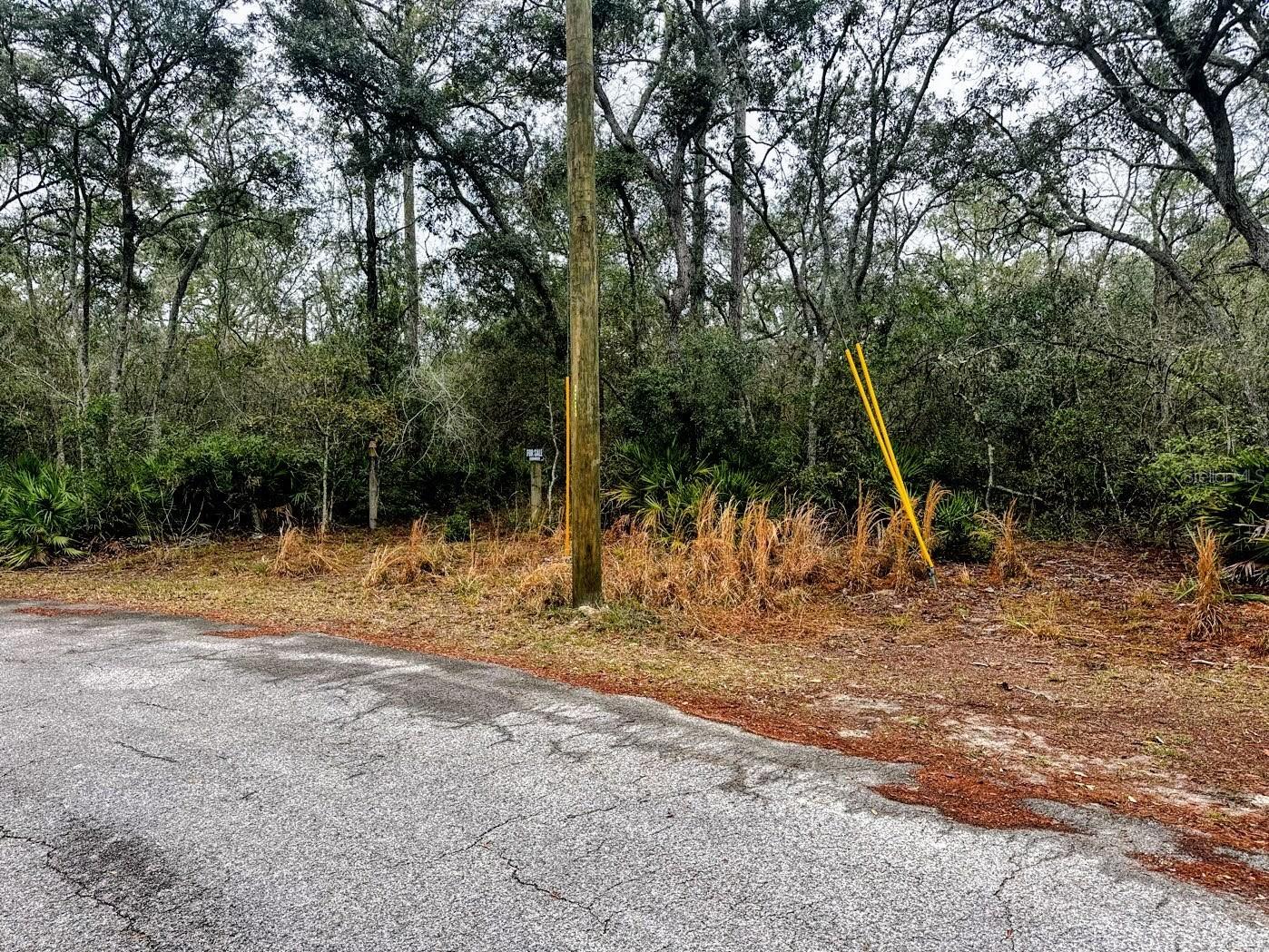 SUWANNEE RIVER SPRINGS SUBDIVISION - Land