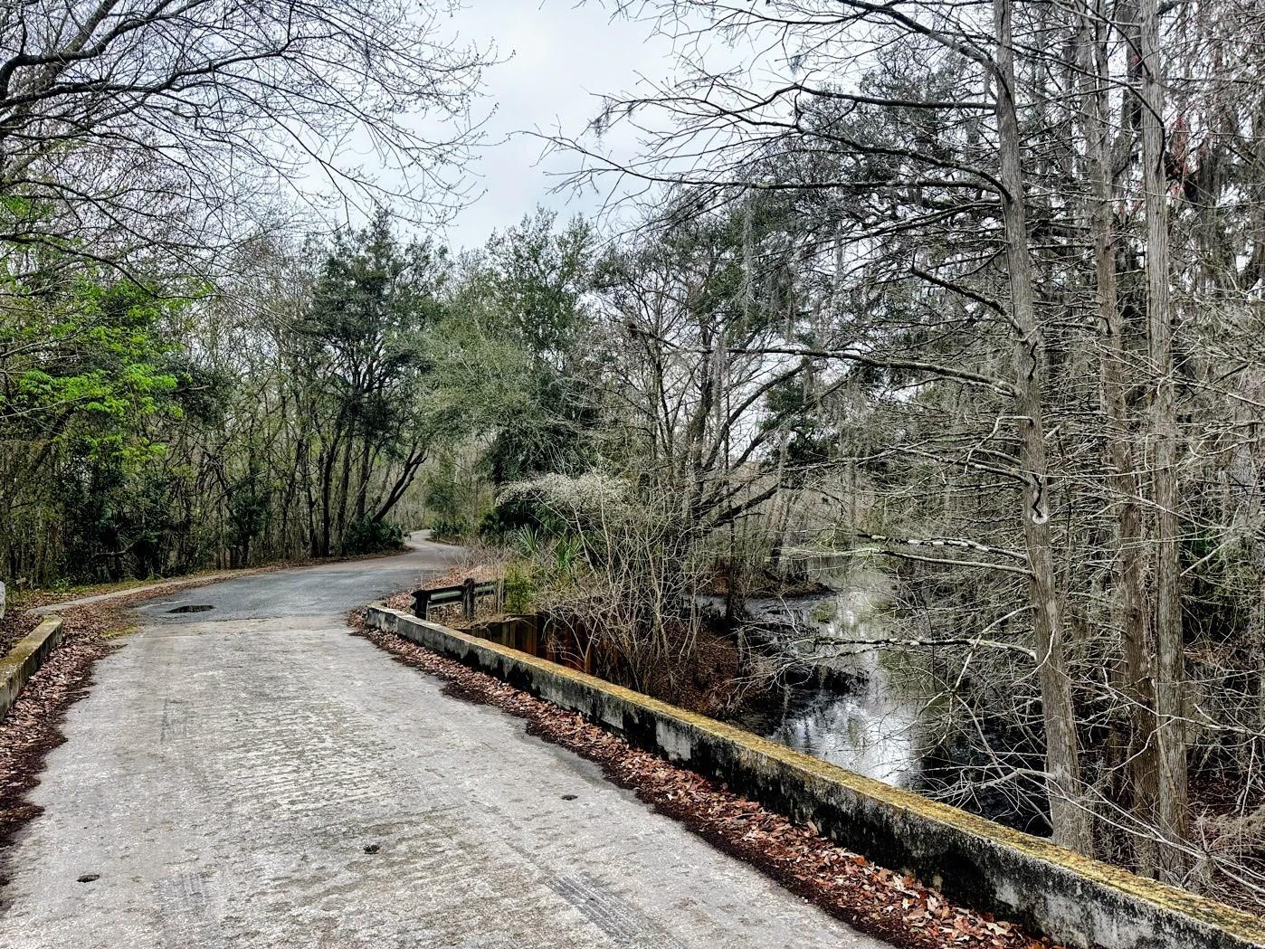 SUWANNEE RIVER SPRINGS SUBDIVISION - Land