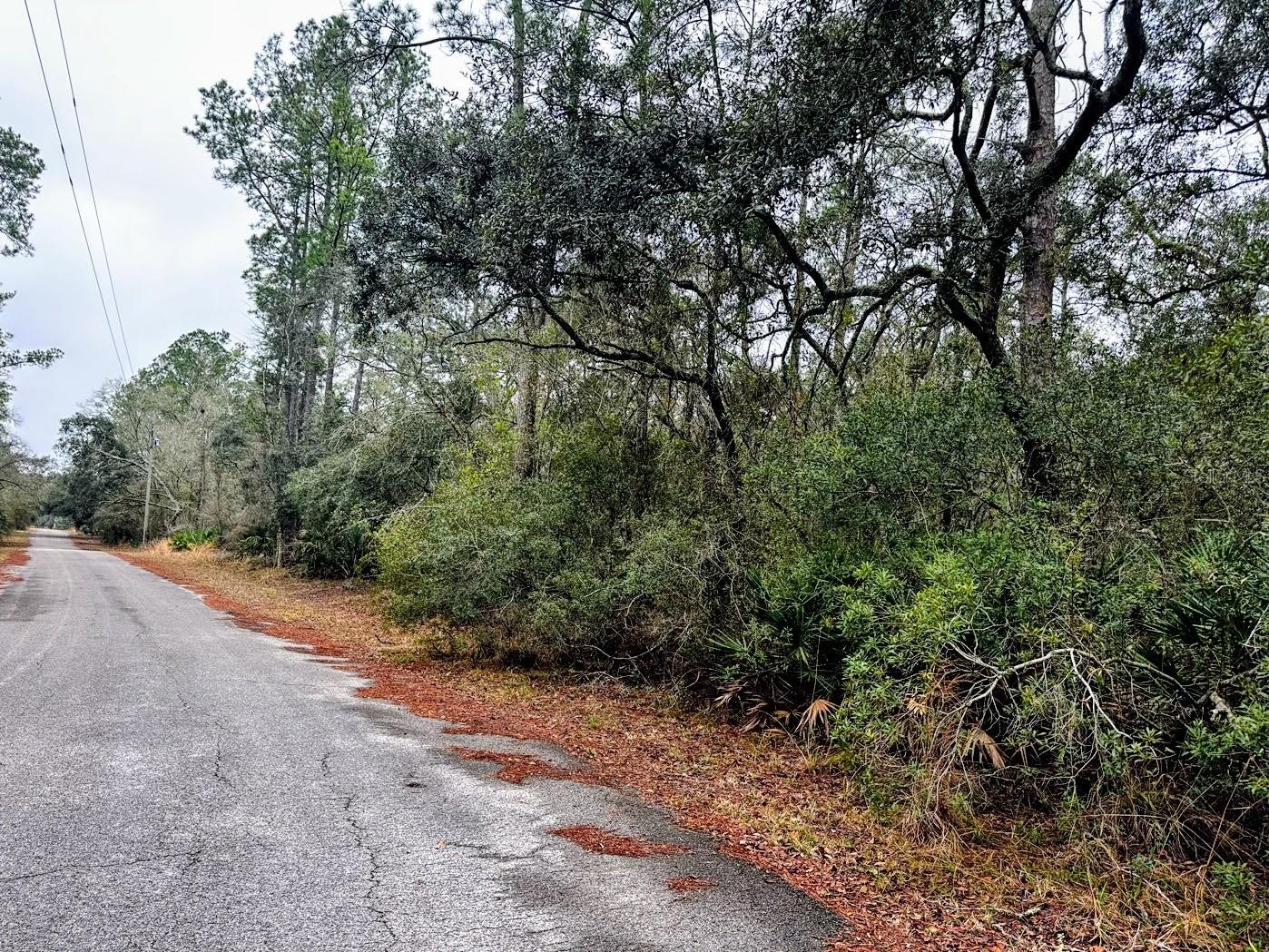 SUWANNEE RIVER SPRINGS SUBDIVISION - Land