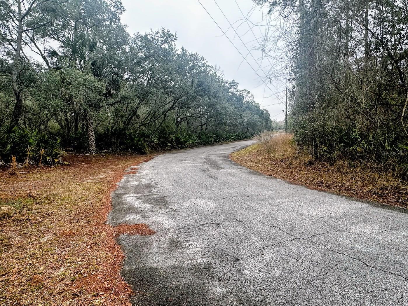 SUWANNEE RIVER SPRINGS SUBDIVISION - Land