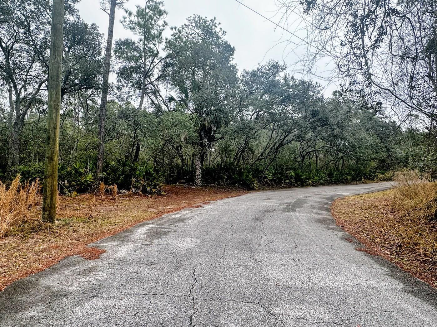 SUWANNEE RIVER SPRINGS SUBDIVISION - Land
