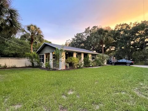 Photo of 3202 W Villa Rosa Street, Tampa, FL 33611 (MLS # A4681264)