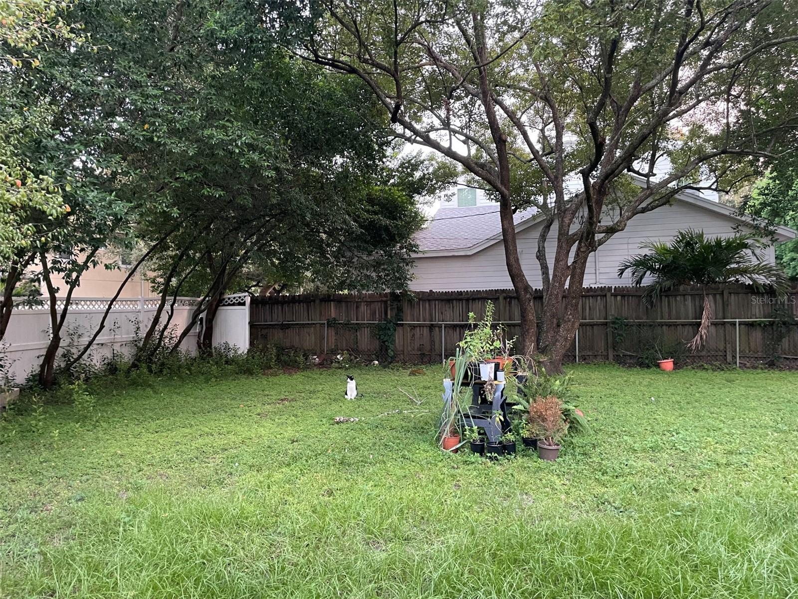 3202 W VILLA ROSA STREET