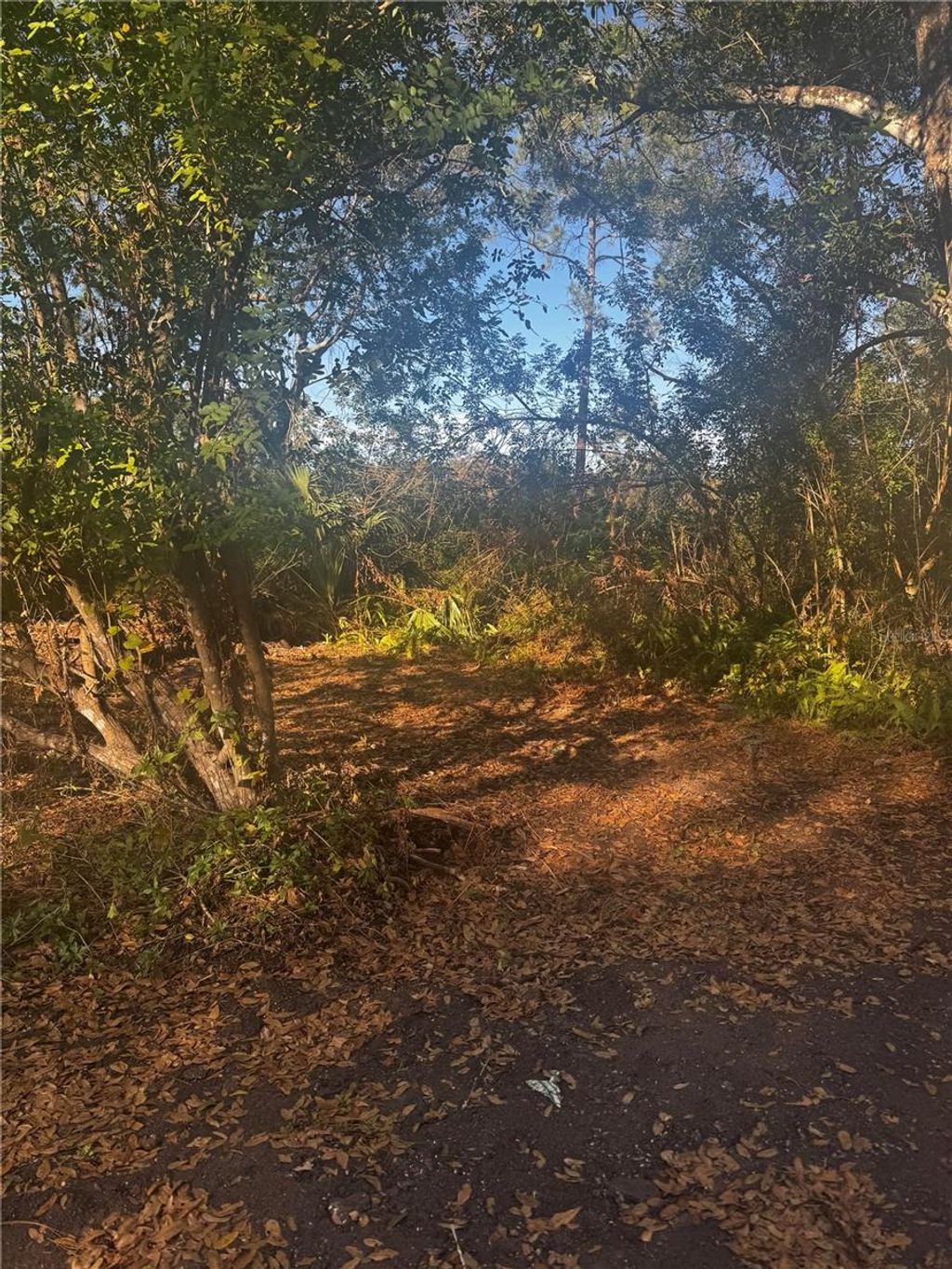 Photo of 11 Anno, Tampa, FL 33625 (MLS # TB8453613)