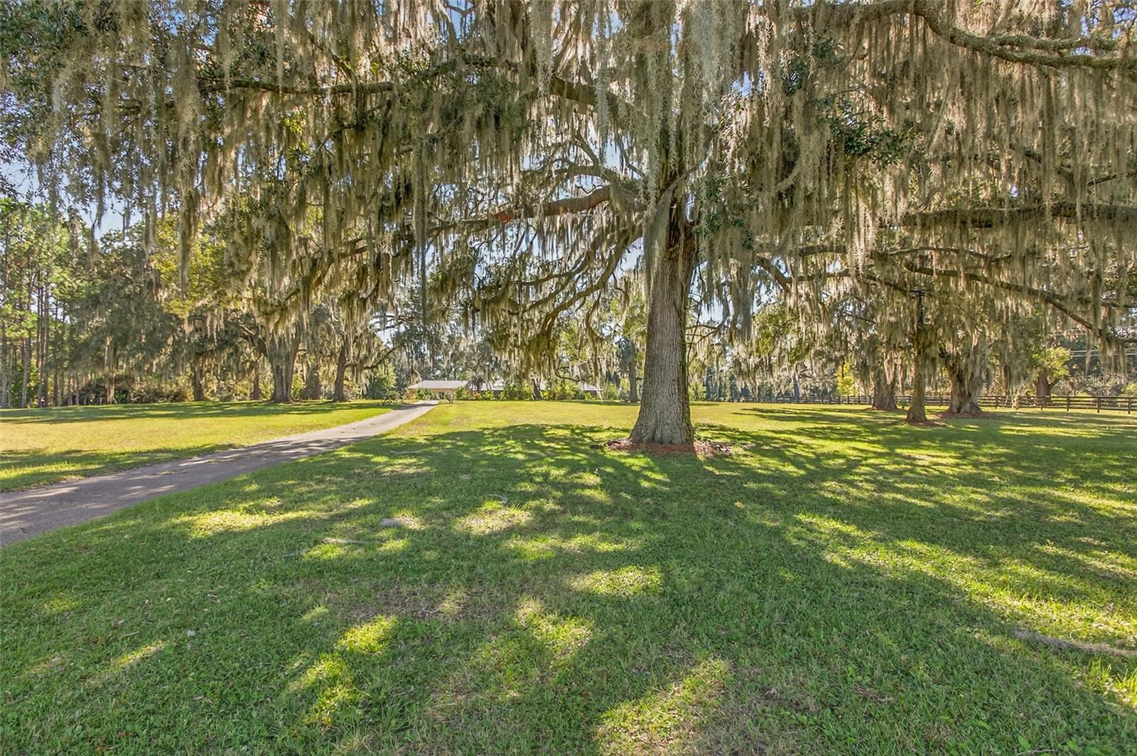 ALACHUA HIGHLANDS - Residential