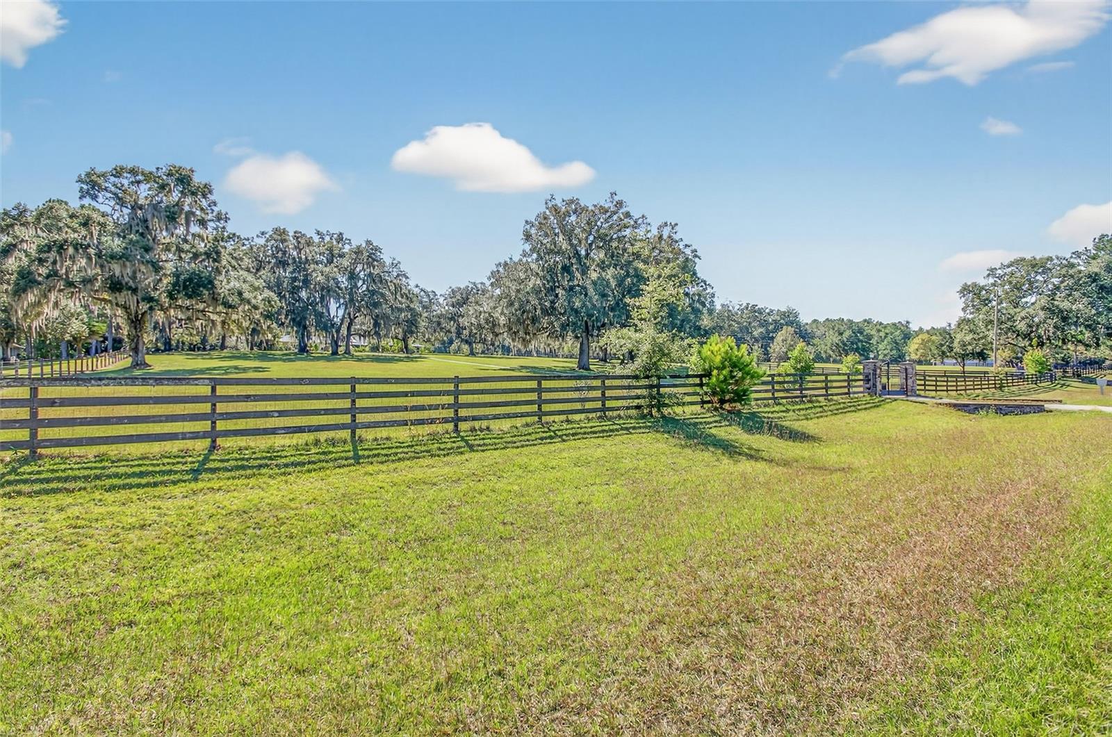 ALACHUA HIGHLANDS - Residential