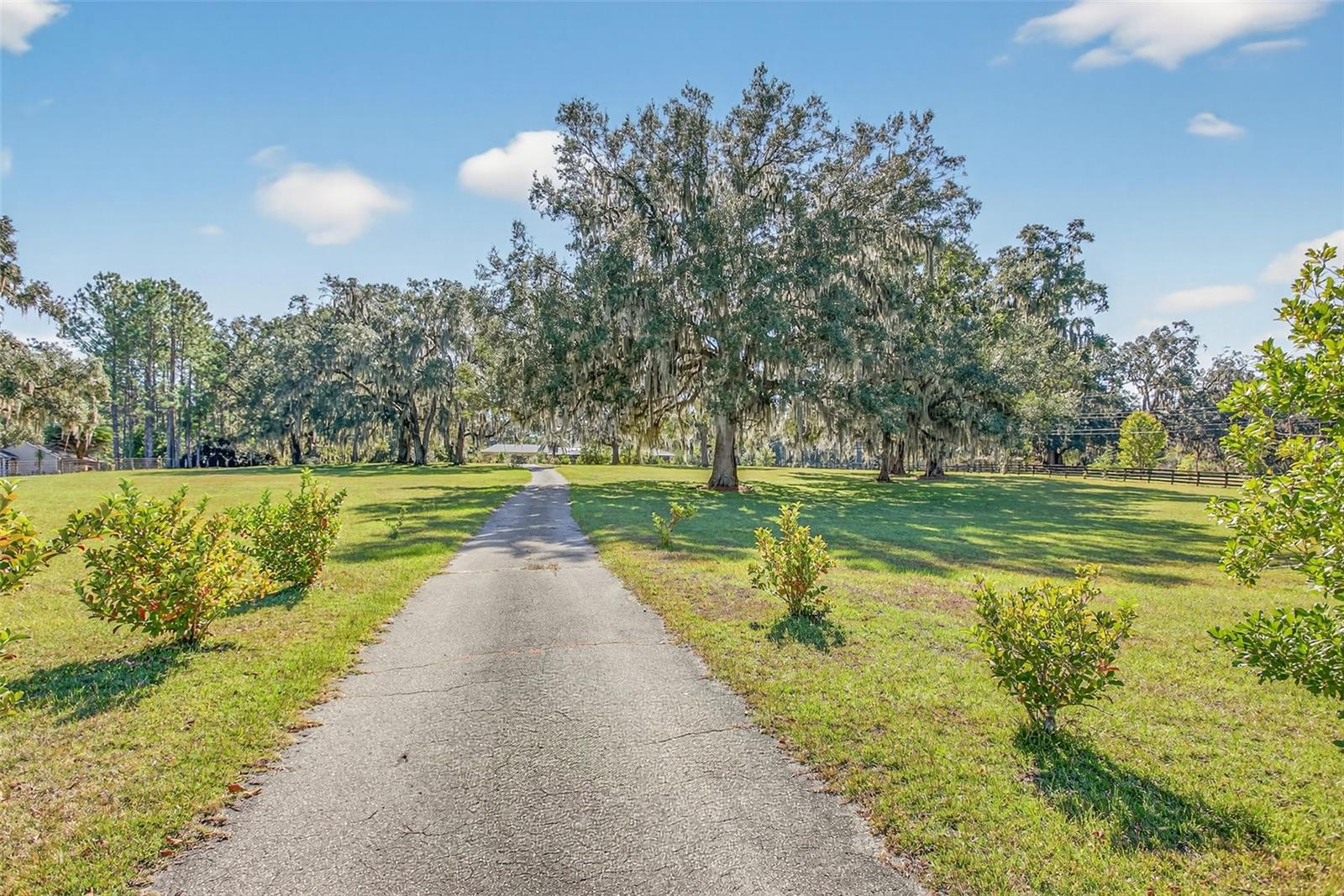 ALACHUA HIGHLANDS - Residential