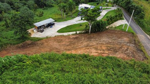 CARR 110 MOCA  00676