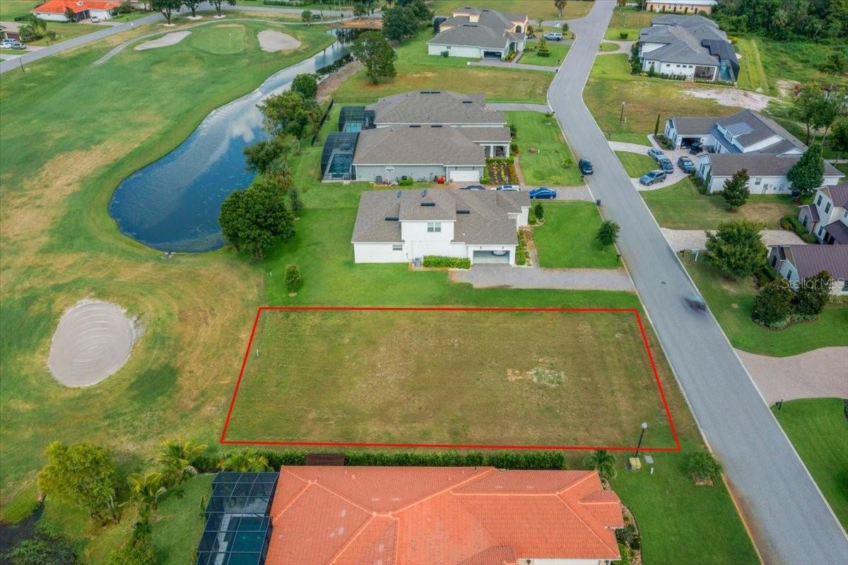 LIVE OAK DRIVE