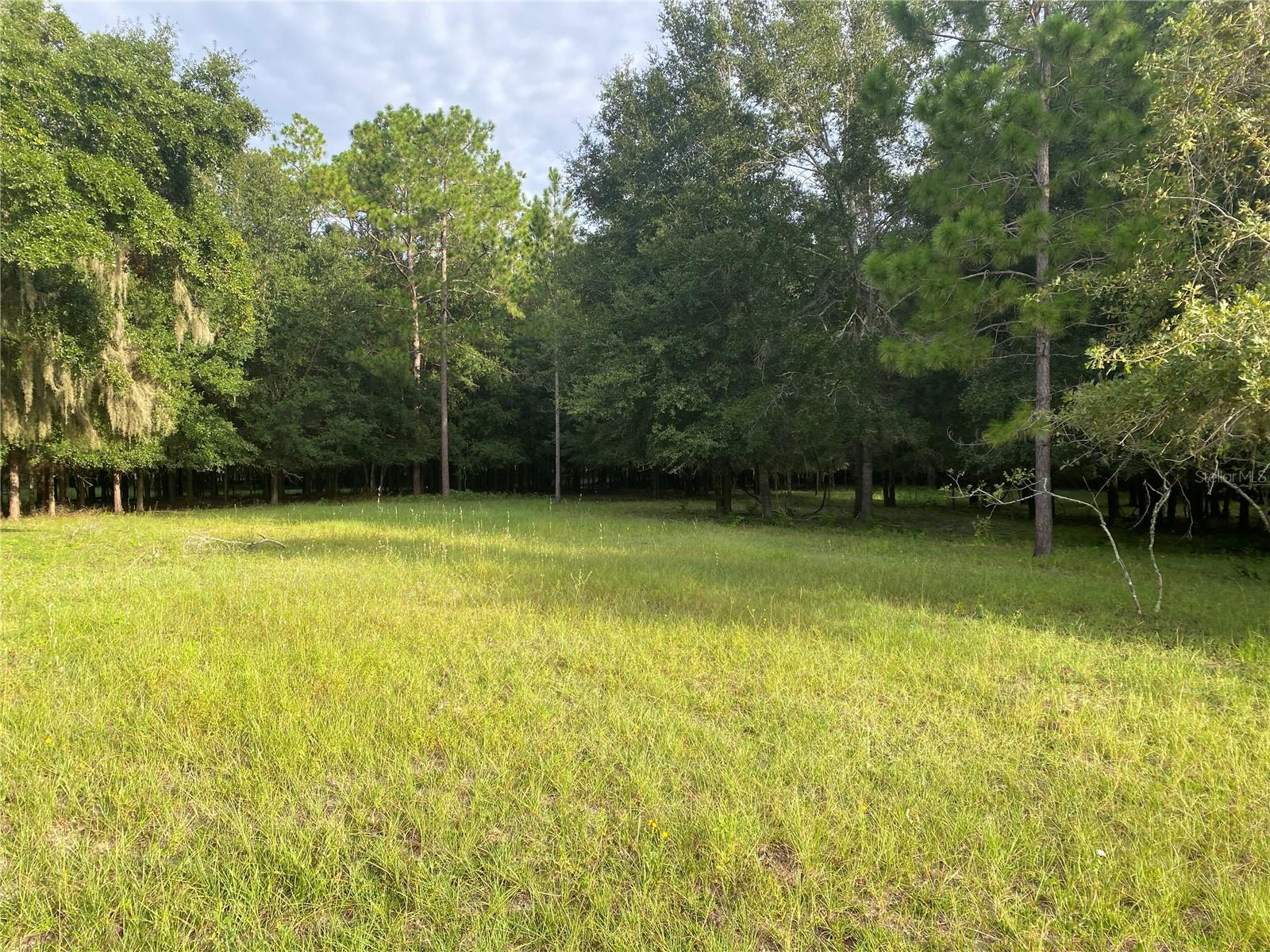 Rare opportunity to own almost 20 acres in the desirable Oxford area. This unique property has frontage on 3 paved roads! Parcels like this are few and far between these days. Take advantage of the explosive growth and opportunities of the Wildwood/Villages area while having the privacy of a large lot. Awesome location features frontage on three roads including CR 466. This property is a short drive to I-75, Ocala, Belleview, The Villages, Wildwood etc. Currently the property is wooded as it was planted in pines for timber years ago. Own your own farm, build an estate or hold to speculate on the explosive growth in the oxford area.