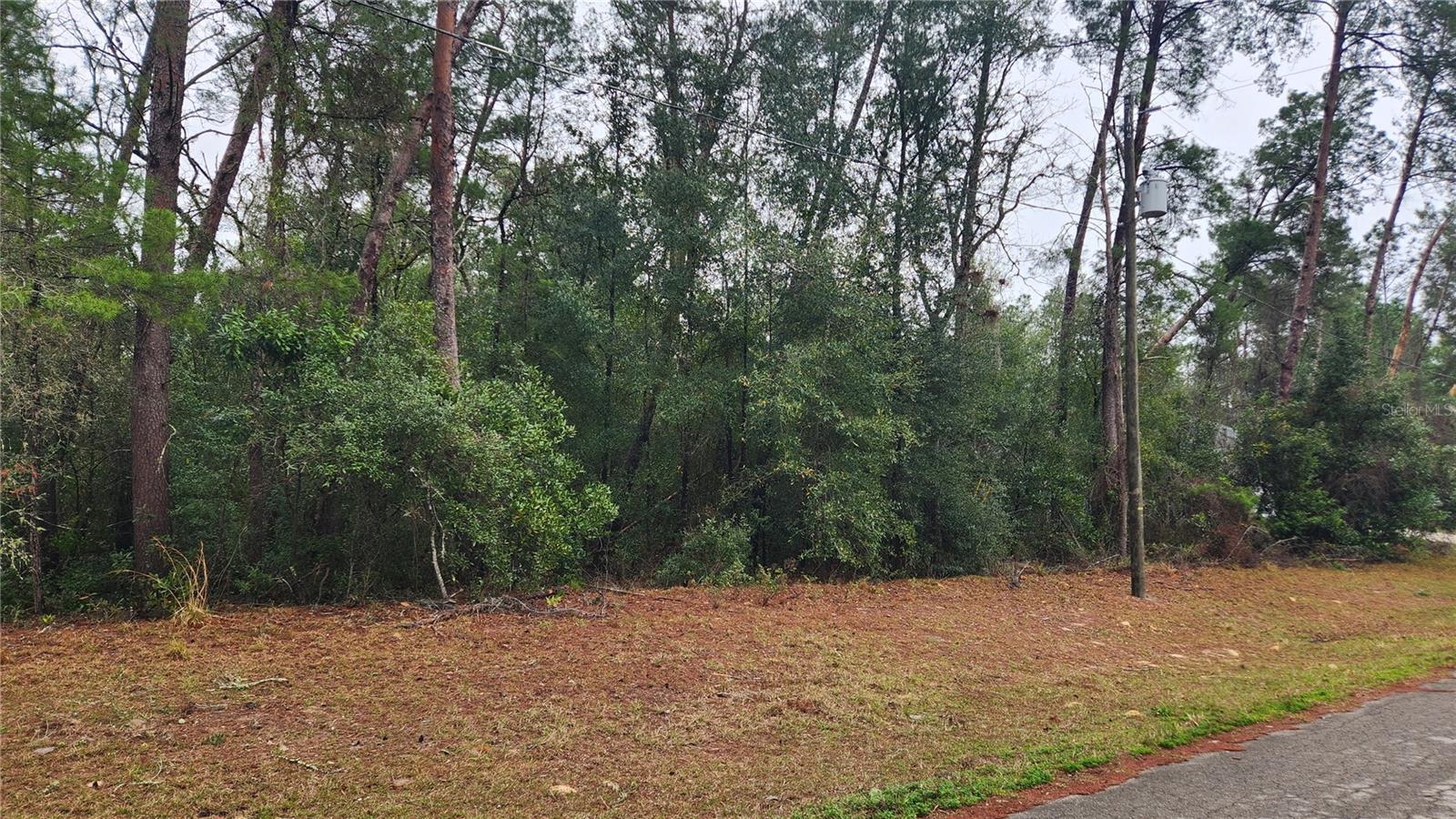 MARION OAKS UN 12 - Land