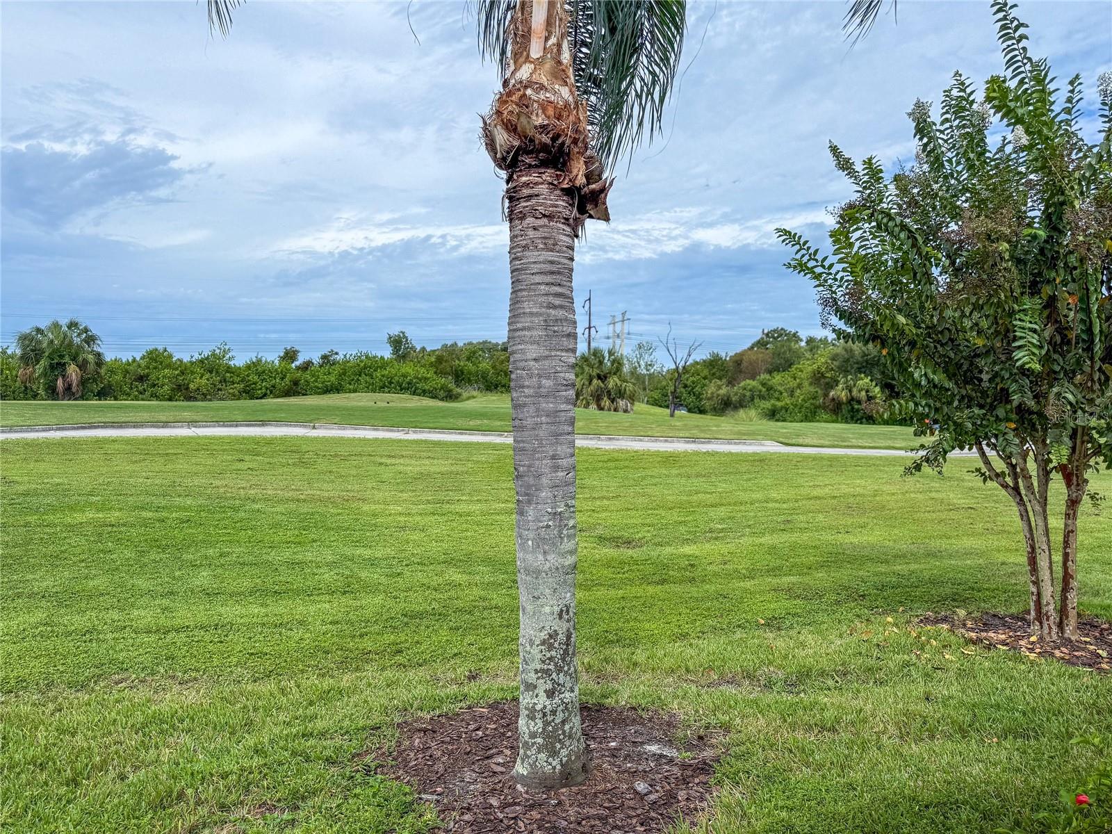 STONEYBROOK AT HERITAGE HARBOUR C-2 - Residential Lease