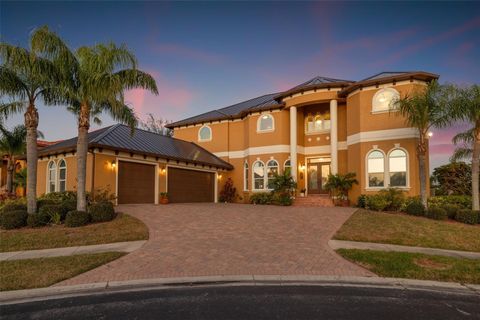 288 MOBBLY BAY DRIVE OLDSMAR FL 34677