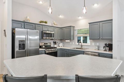 Tiny photo for 3359 Brianna Lane, The Villages, FL 32163 (MLS # O6409451)