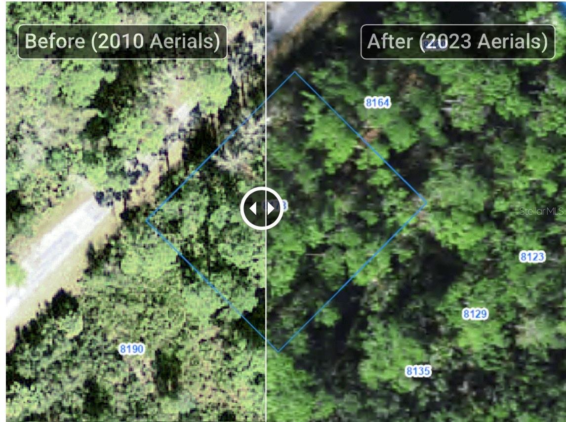 TRACT 2/PEEK PLACE - Land