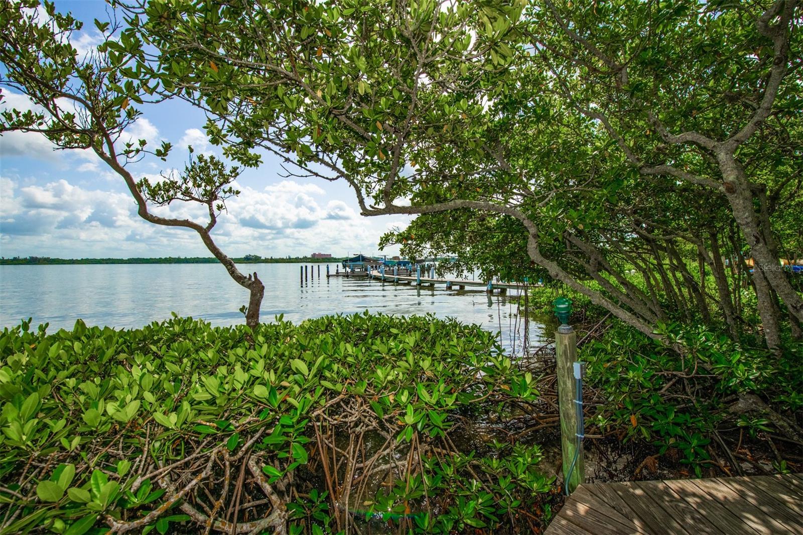 ISLAND REEF I - Residential Lease