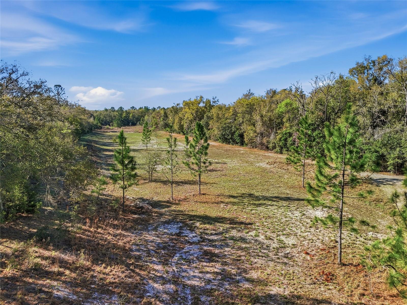 WOODS/ALCHRIST - Residential