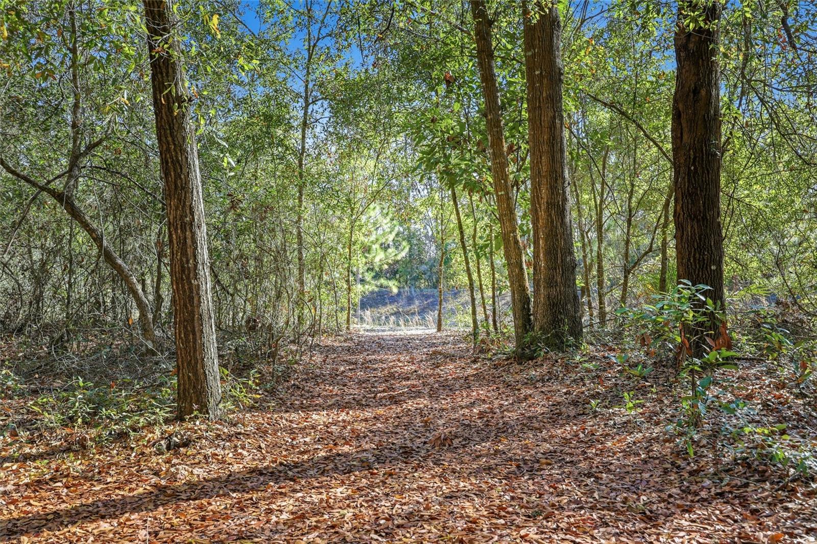 WOODS/ALCHRIST - Residential