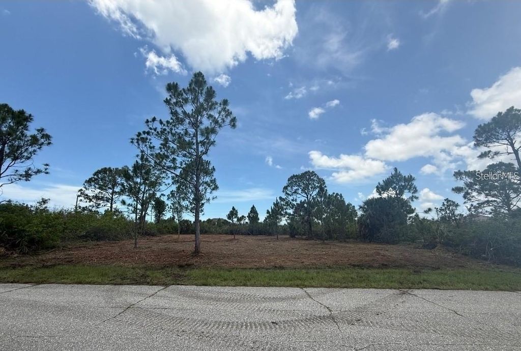 Photo of 9557 Sundance Street, Port Charlotte, FL 33981 (MLS # O6384567)