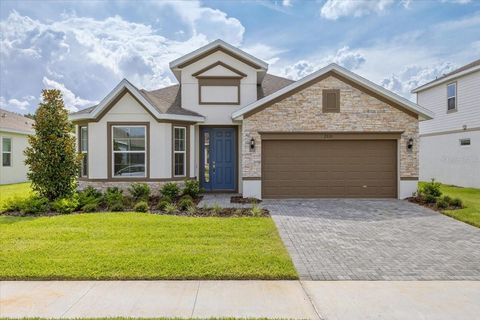 Photo of 2530 Raghav Trail, Tavares, FL 32778 (MLS # O6313803)