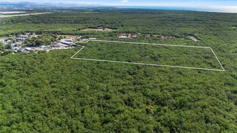 SECTOR VALLAS TORRES LOT 2 PONCE  00715