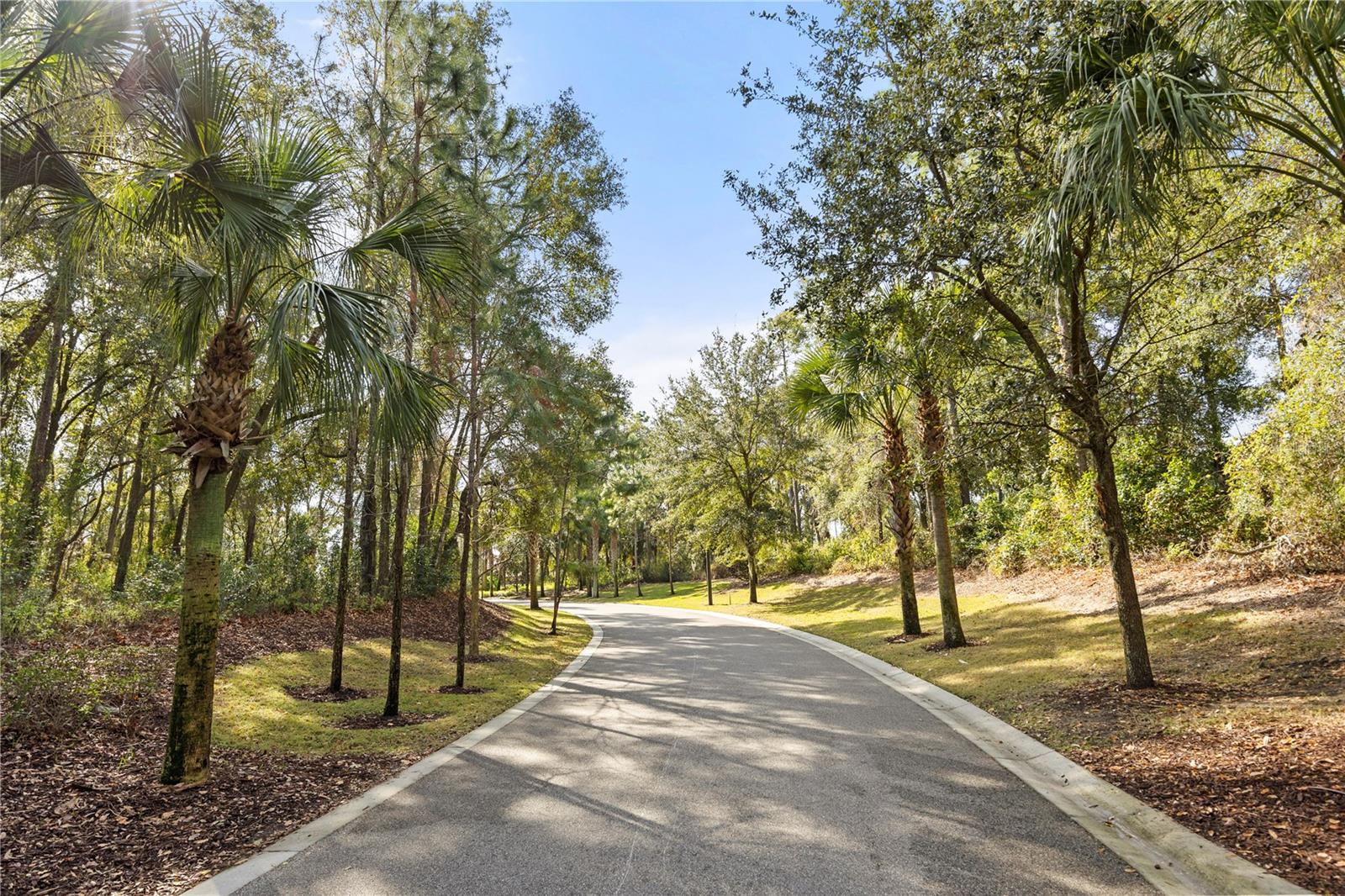 ARDEN PARK NORTH PH 4 - Residential