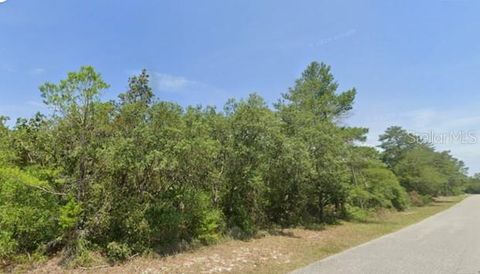 Photo of 11 Persimmon Street, Eustis, FL 32736 (MLS # O6368237)