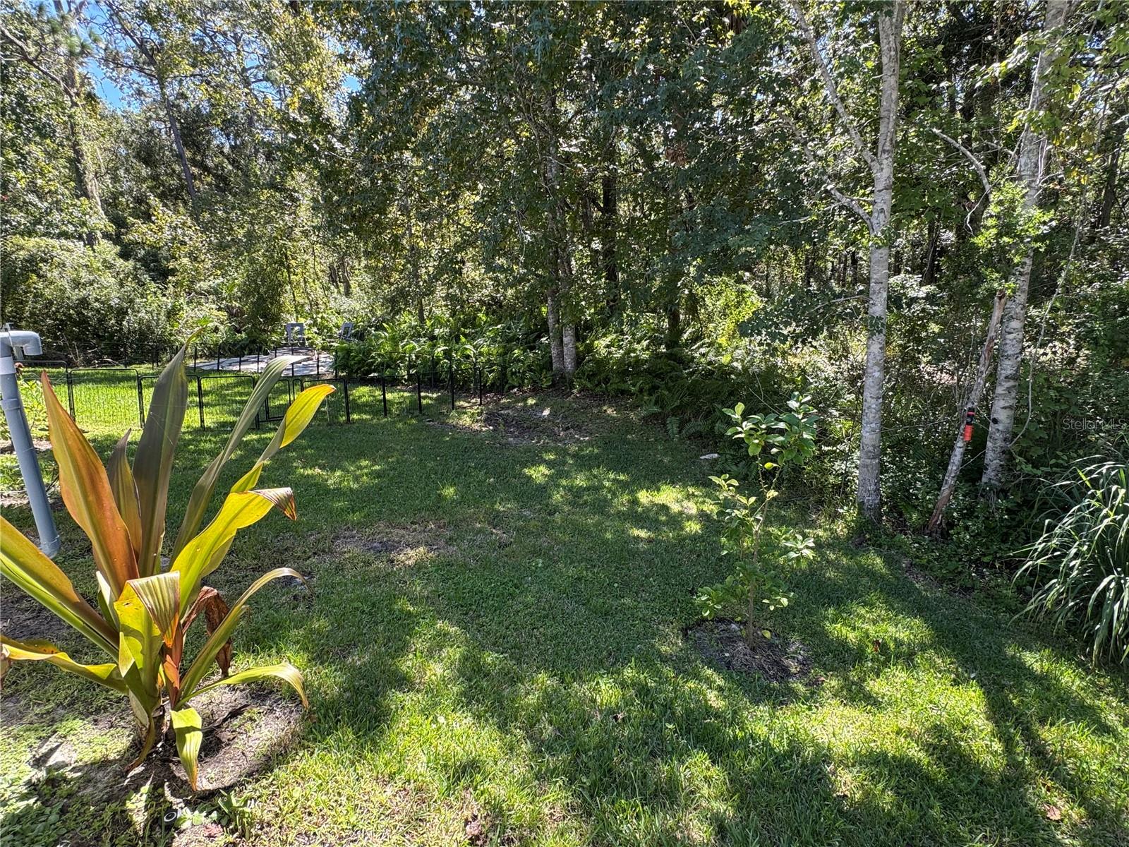 LIVE OAK PRESERVE PH 1C VILLAGES 3/4/5/6 - Residential