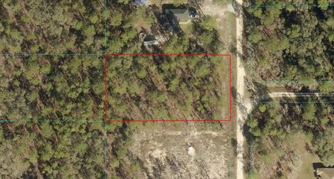 TBD LOT 106 SW 134TH AVENUE DUNNELLON FL 34432