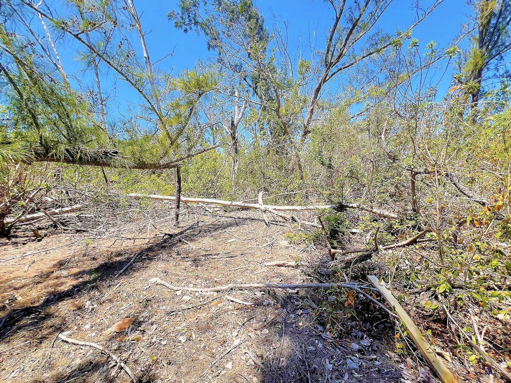 Photo of The Island Property Manasota Key, Englewood, FL 34223 (MLS # C7506730)
