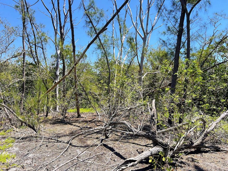 Private Island for Sale – Lemon Bay
TROPHY PROPERTY! The only private island for sale in Lemon Bay offers a rare opportunity for development. 1.5 acres (+/-) of uplands, surrounded by 36 acres of nature and 10 acres (+/-) of submerged lands. Zoning confirmed—allows for a single-family residence. The property includes riparian rights and a deeded electric easement. Water and sewer can be extended from the key to the property (reach out for instructions).

This is more than property—it’s your legacy. A private island beyond compare: rare, exclusive, and impossible to duplicate.
Build a modern private retreat or develop for investment potential. The island is a short cruise to the open waters of the Gulf, world-class fishing, nearby restaurants with dockage for dining and entertainment, and the four beaches of Manasota Key with turquoise waters, soft sand, and a laid-back coastal atmosphere.
Reach out today for details and see if this island is a fit for you.