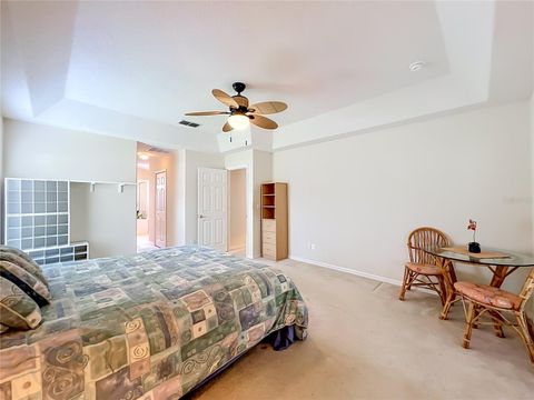 Tiny photo for 2505 Holly Berry Circle, Clermont, FL 34711 (MLS # G5111843)