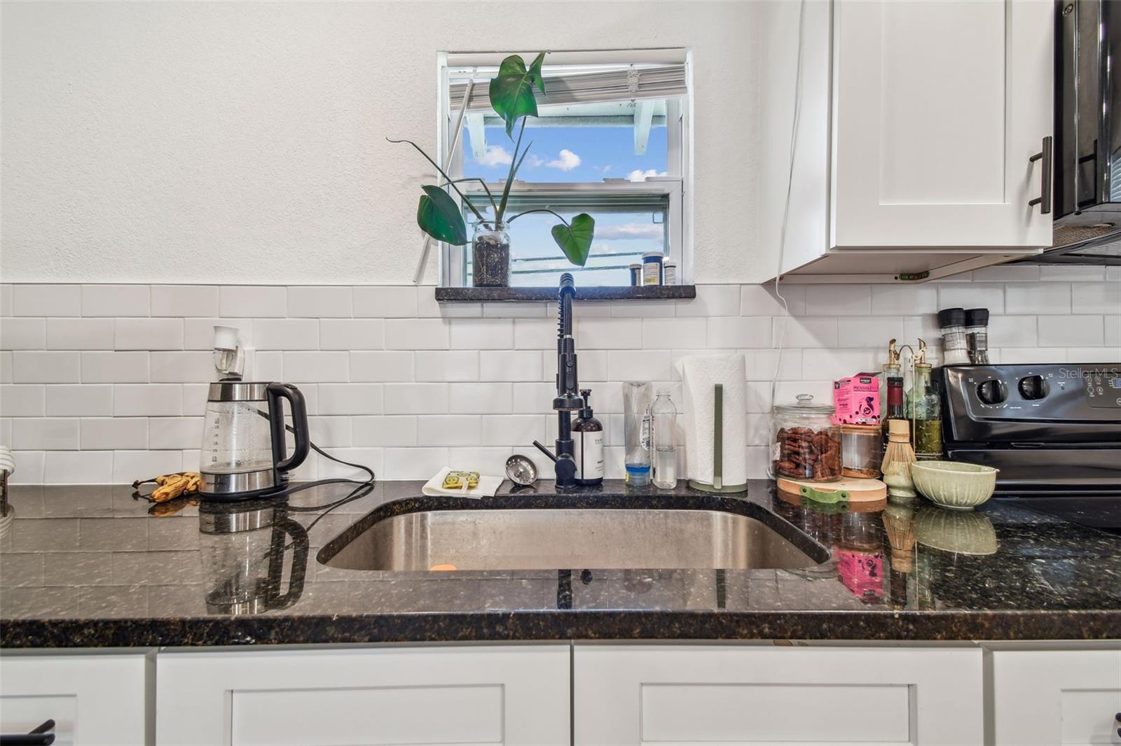 BUENA VISTA - Residential Income