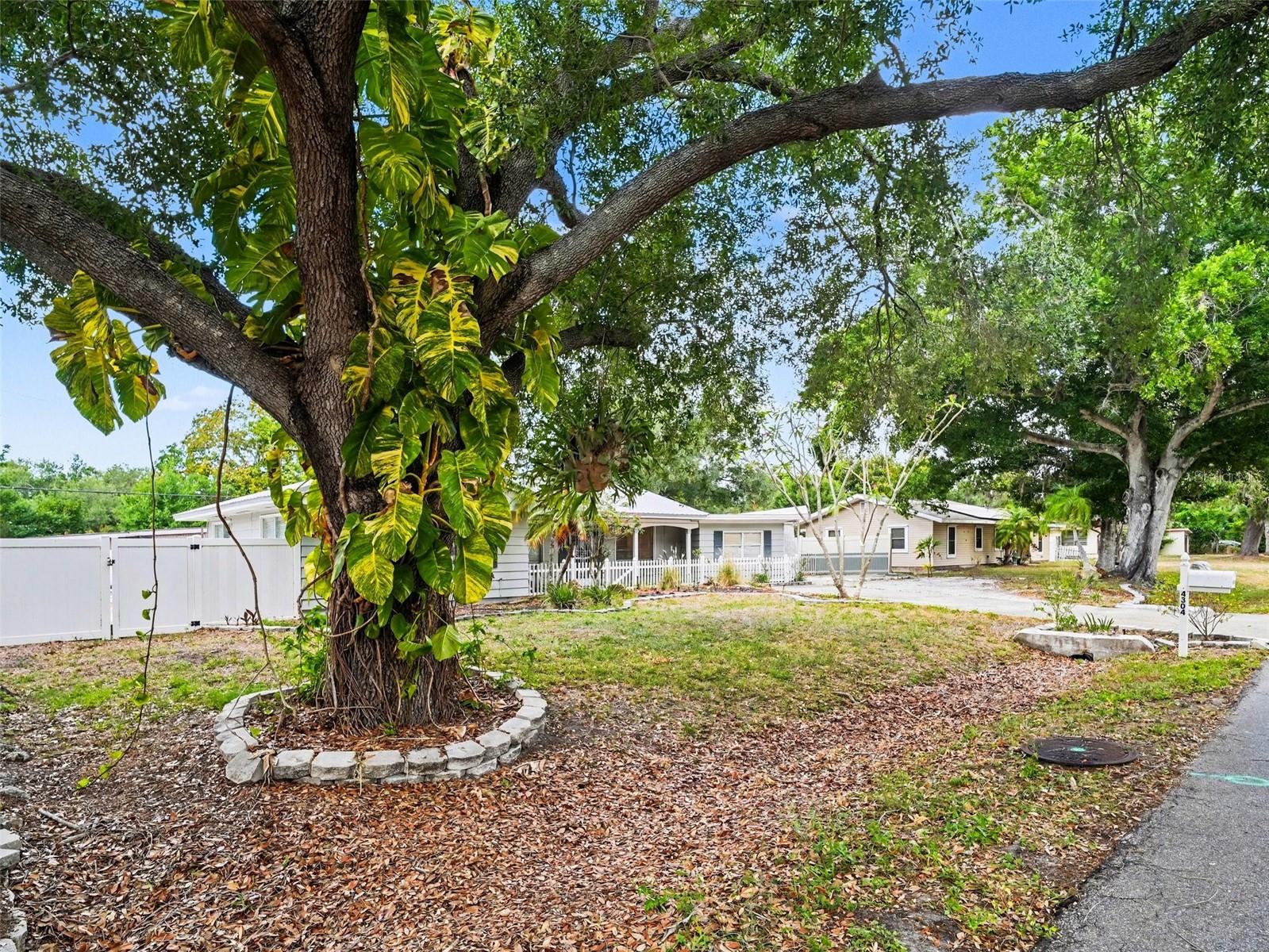 FLORAL PARK HOMESTEADS - Residential