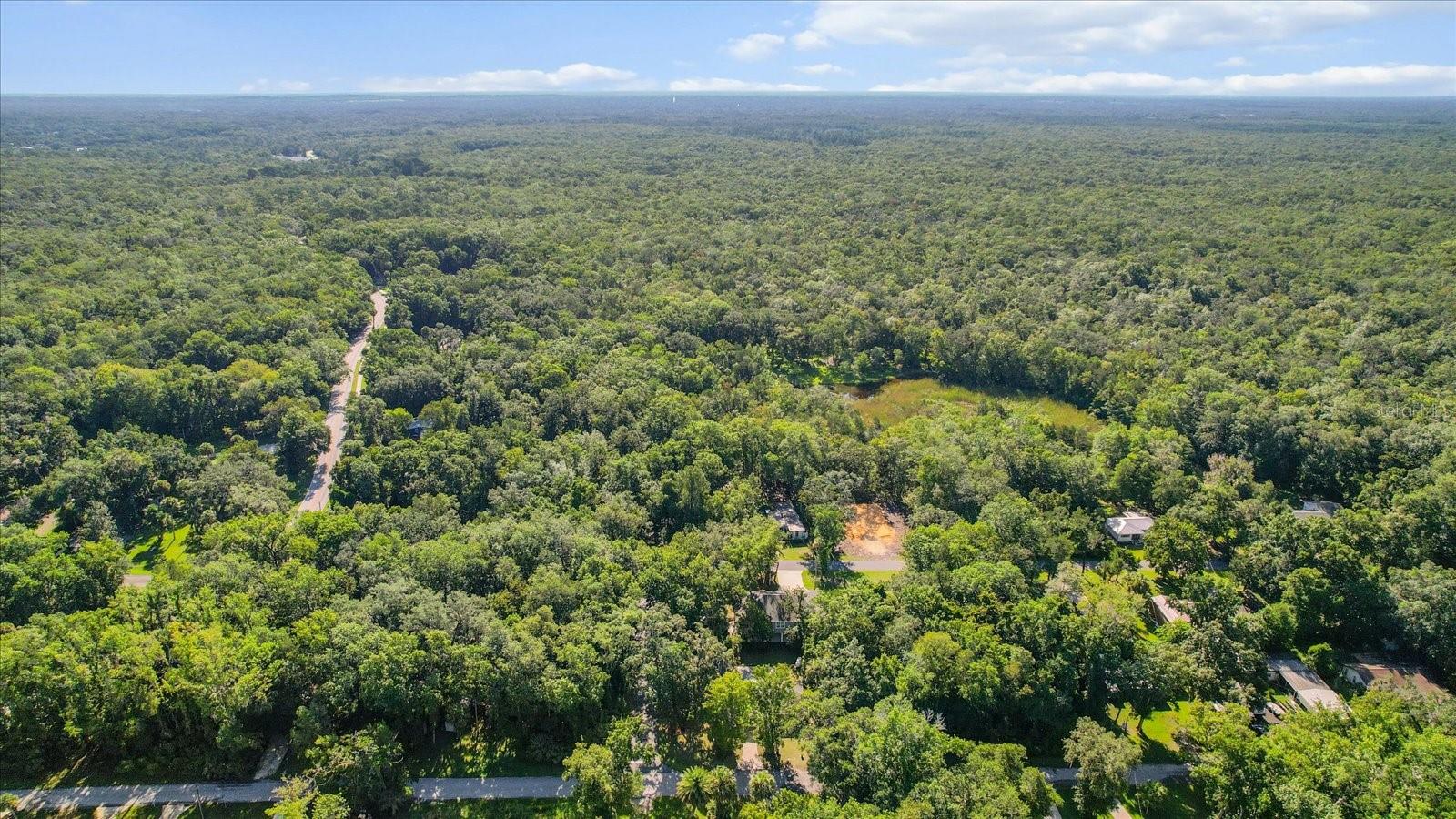 HOMOSASSA PARK - Residential