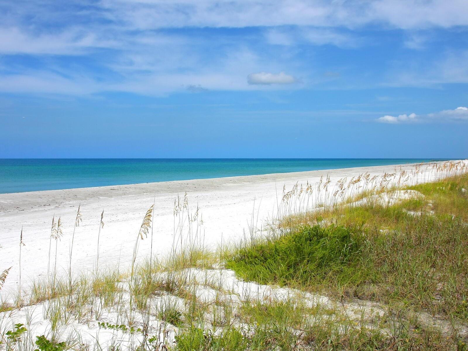 MANGROVES SUB THE - Residential