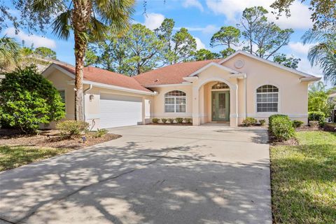 A home in PALM COAST