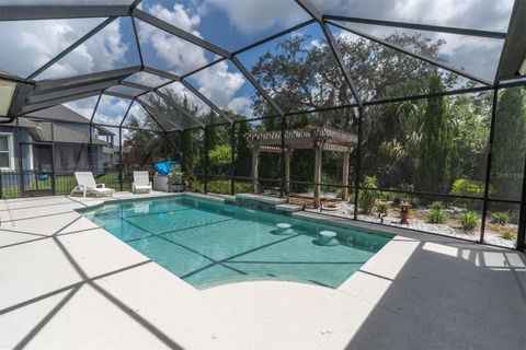 A home in APOLLO BEACH