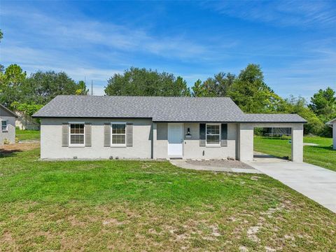 A home in DELTONA