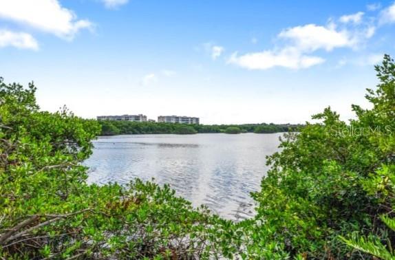 TOWNHOMES OF SEMINOLE ISLE - Residential