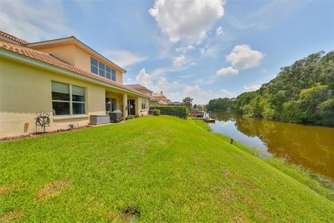 A home in TAMPA