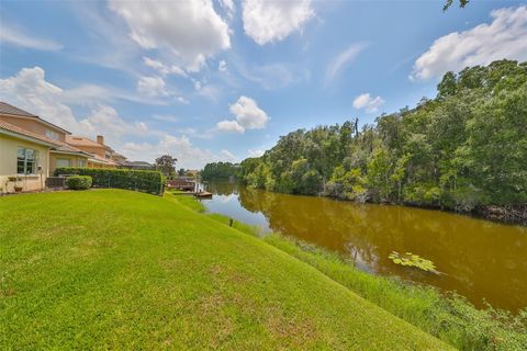 A home in TAMPA