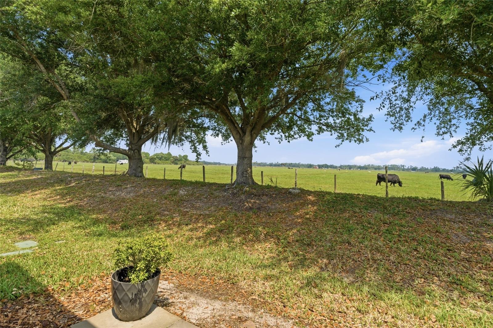 TUSCANY ISLES - Residential