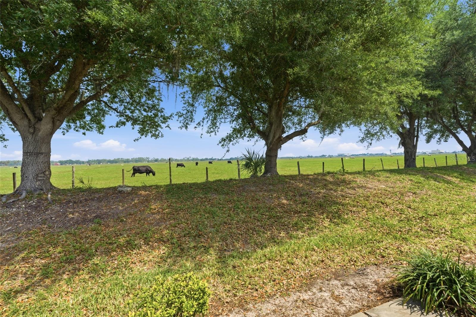 TUSCANY ISLES - Residential