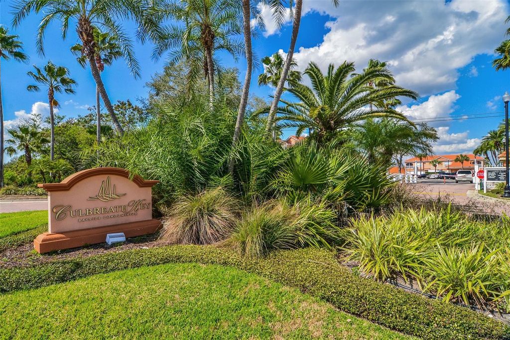 Photo of 5000 Culbreath Key Way #8206, Tampa, FL 33611 (MLS # TB8459676)