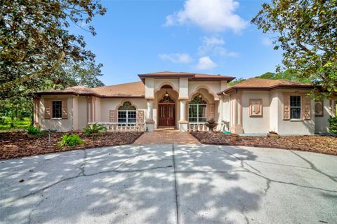 Photo of 7333 Royal Oak Drive, Spring Hill, FL 34607 (MLS # TB8371012)