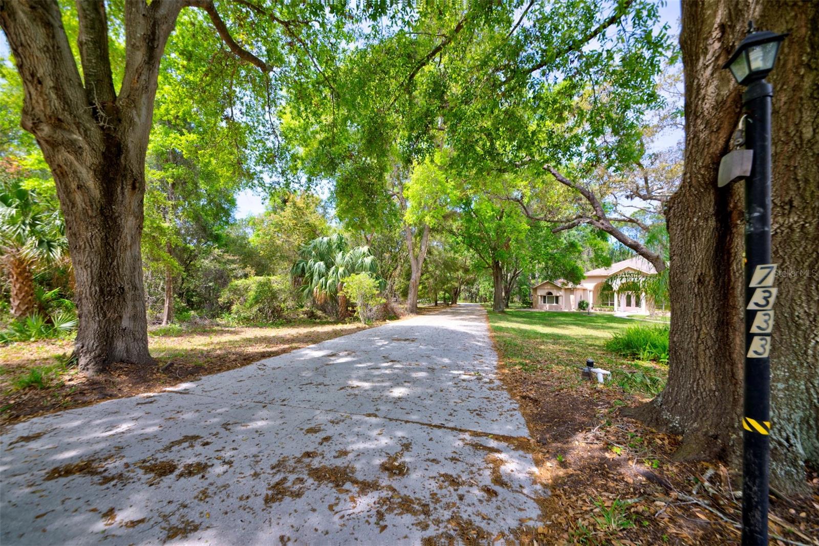 LAKE IN THE WOODS PH V - Residential