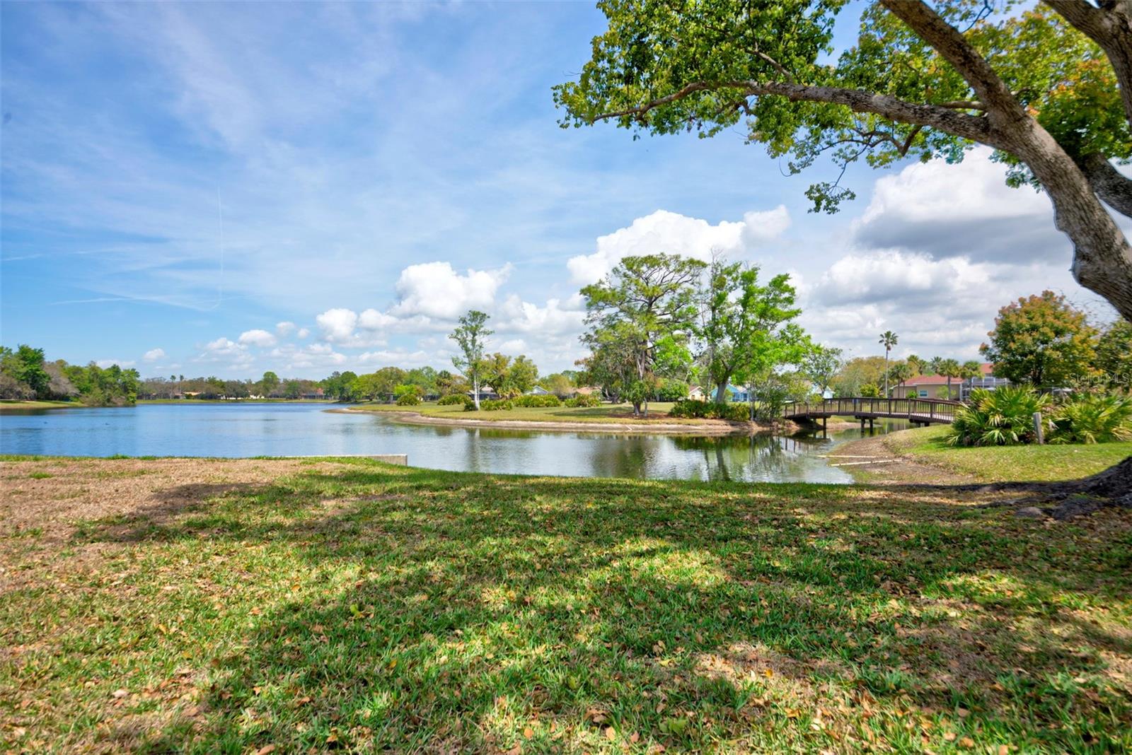 LAKE IN THE WOODS PH V - Residential